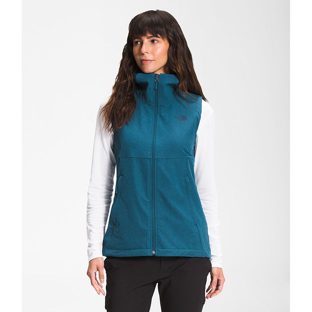 The North Face Vests Womens Australia - The North Face Shelbe Raschel Hooded Blue (ASW-910563)